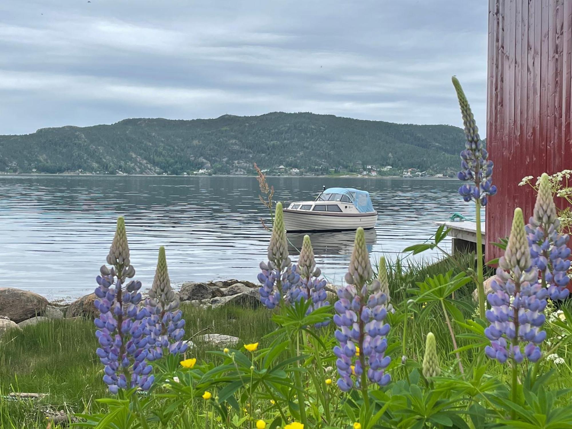 Stille Og Landlig, Men Sentrumsnaer Leilighet Apartment Namsos Exterior photo